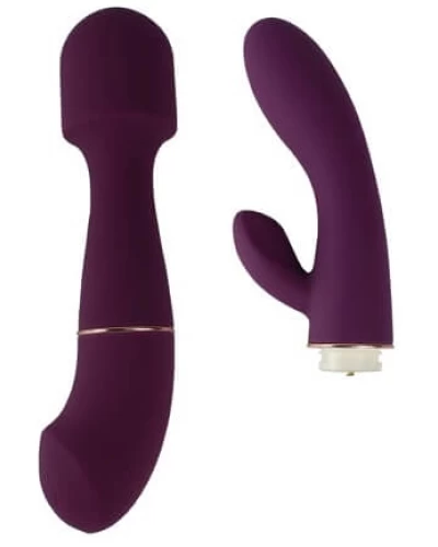 Loving Joy DUA Interchangeable Vibrator